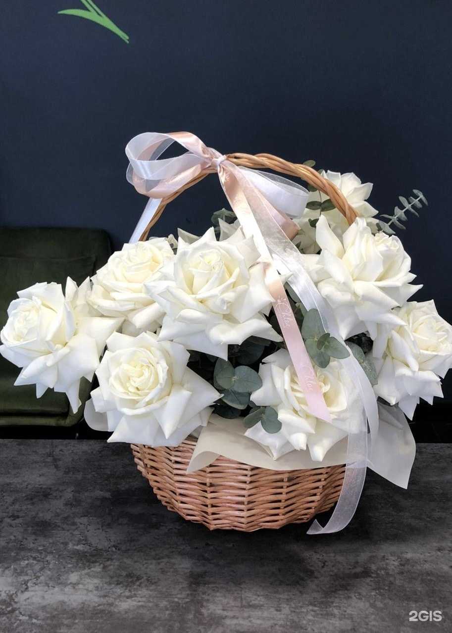 Отзывы на компанию Chloe в Тюмени c фото