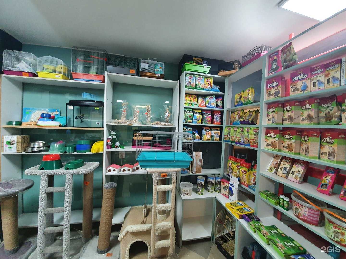 Отзывы на компанию MR.Zoo в Калининграде c фото