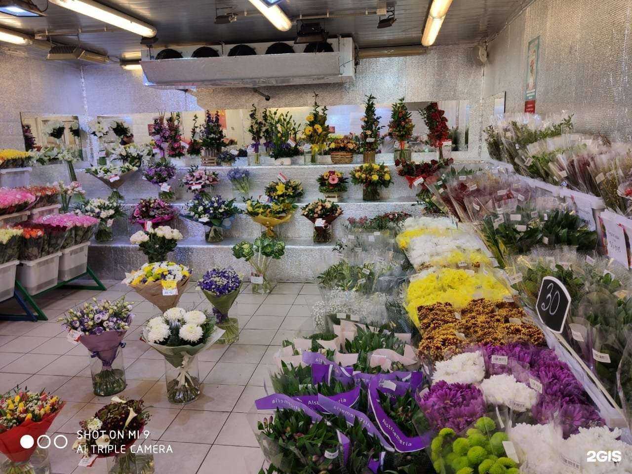 Отзывы на компанию Союзцветторг в Химках c фото