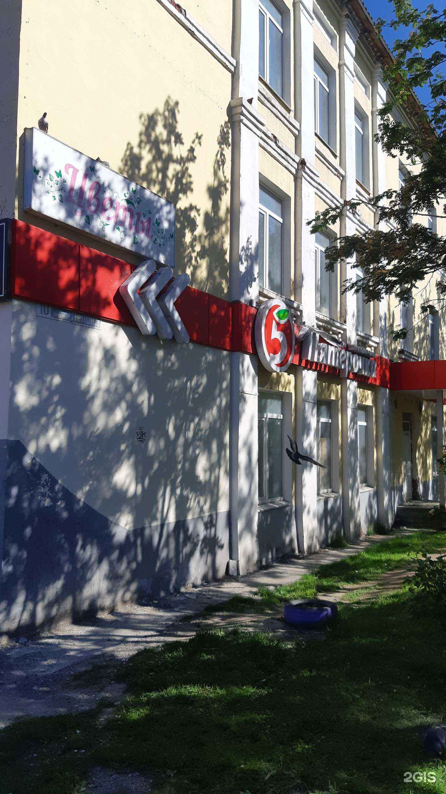 Отзывы на компанию Невис в Кировске c фото - фотография 2 из 2