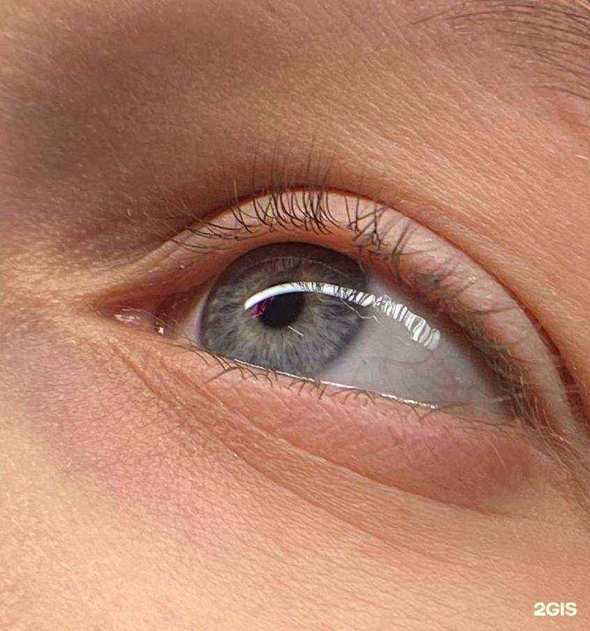 Отзывы на компанию Ivory в г. Новокузнецк c фото