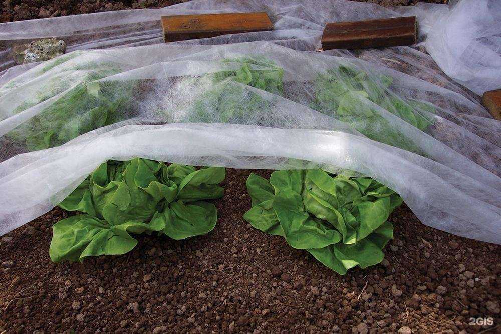 Отзывы на компанию АгроХозТорг в г. Ростов-на-Дону c фото