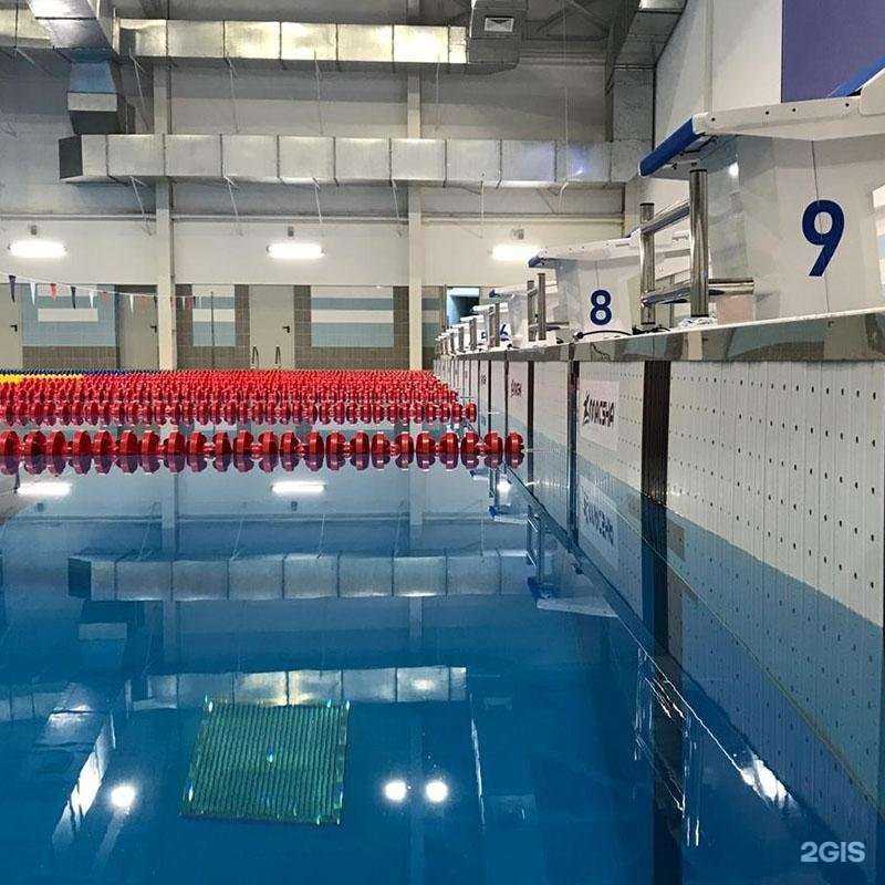 Отзывы на компанию Macsha Swim в Екатеринбурге c фото