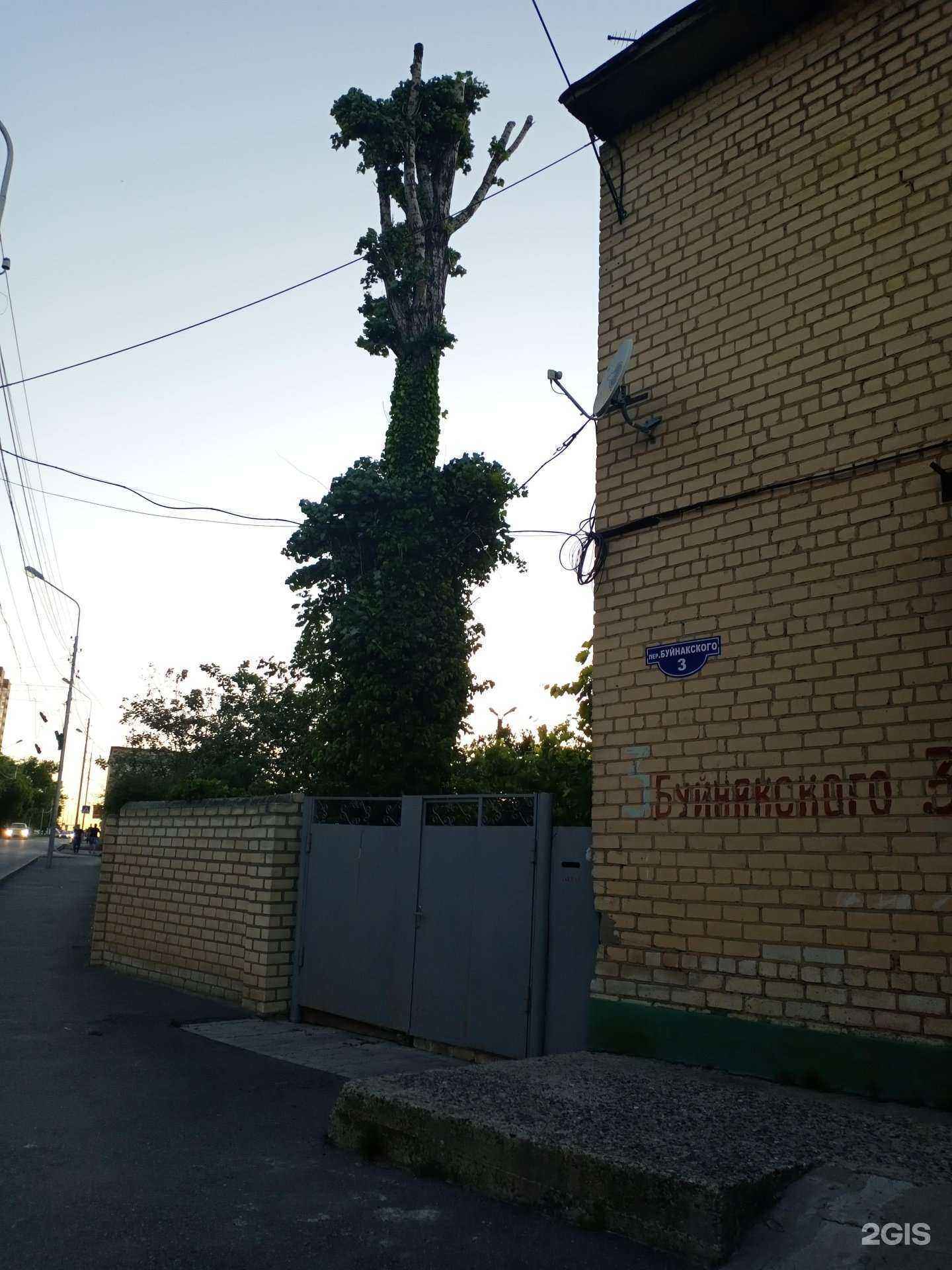 Отзывы на компанию Ваддар в Ставрополе c фото - фотография 2 из 2