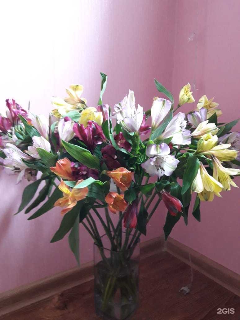 Отзывы на компанию ADORA в г. Кемерово c фото