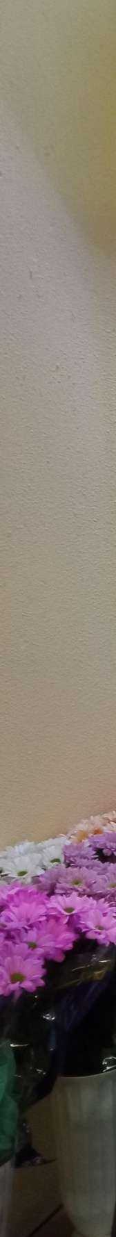 Отзывы на компанию Магазин цветов39 в Калининграде c фото