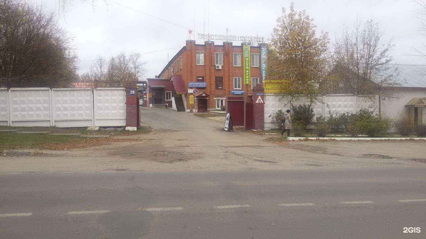 Отзывы на компанию Ветеринарный кабинет в Егорьевске c фото - фотография 2 из 2