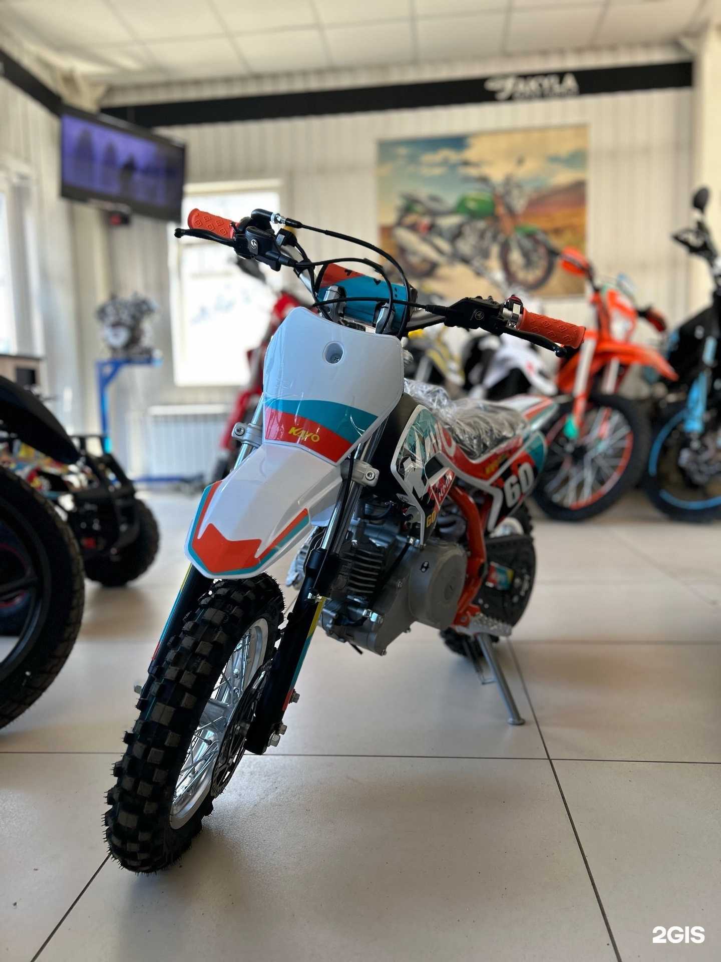 Отзывы на компанию Акула в Костроме c фото