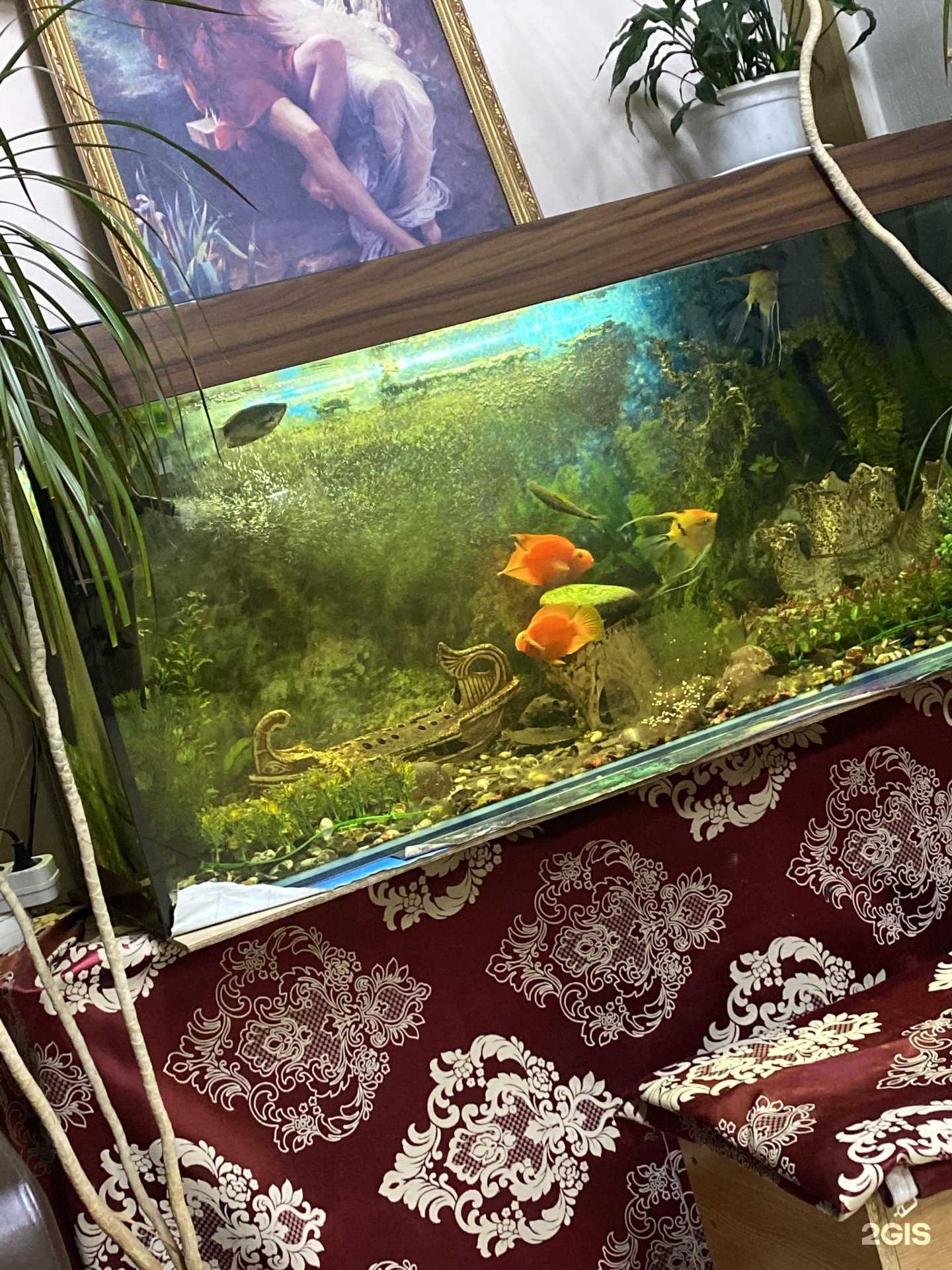 Отзывы на компанию Шашлычный дворик в Сургуте c фото