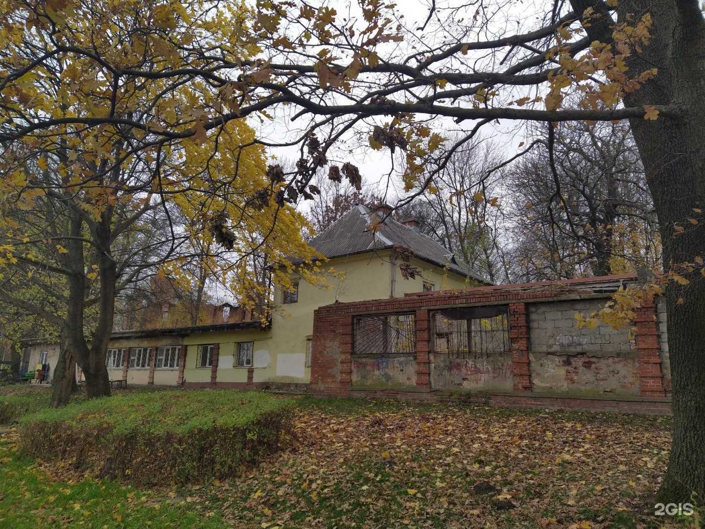 Отзывы на компанию Спортивная школа №13 в Калининграде c фото - фотография 2 из 2