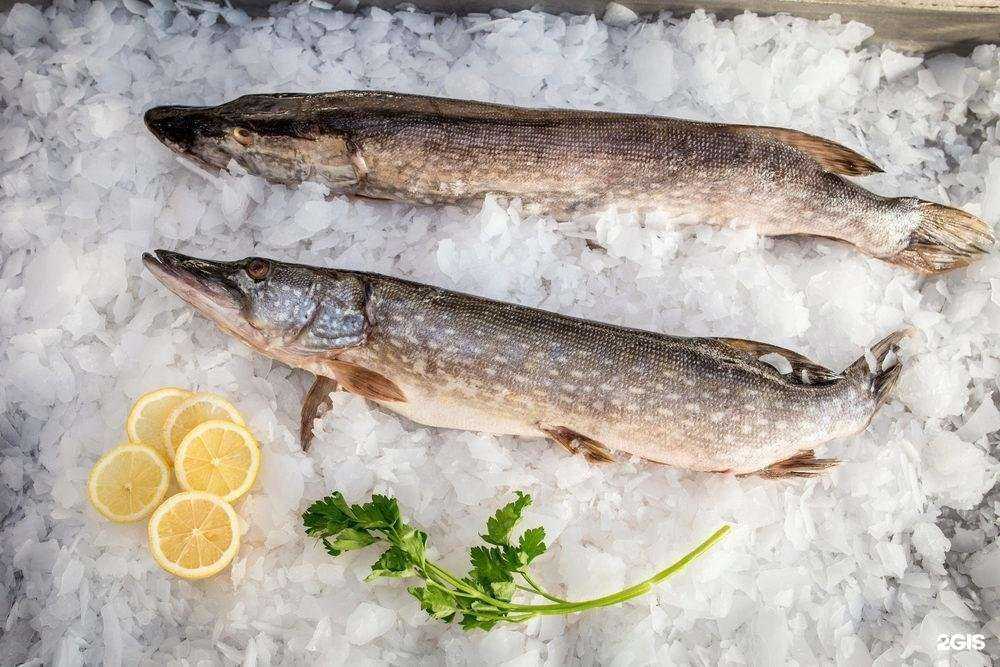 Отзывы на компанию Рыбное место в Иркутске c фото