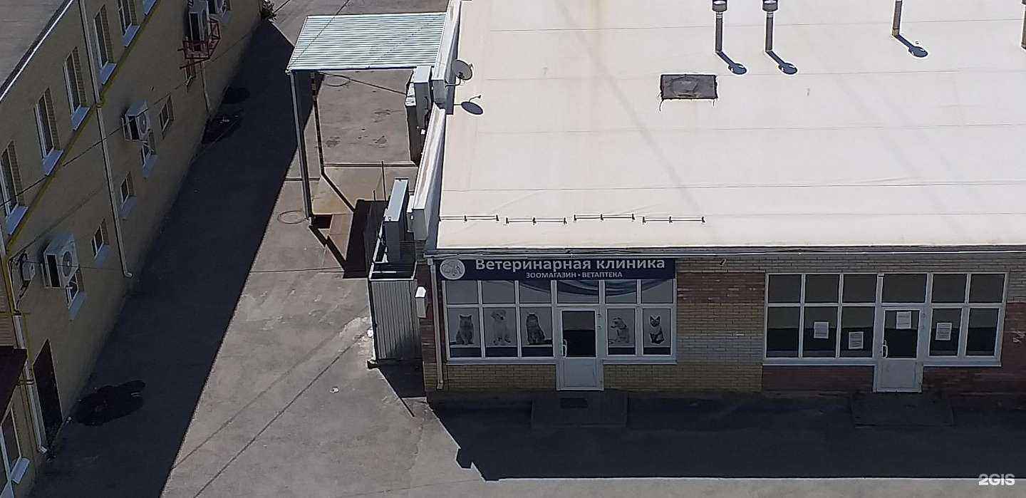 Отзывы на компанию Вита экспресс в Таганроге c фото - фотография 2 из 2