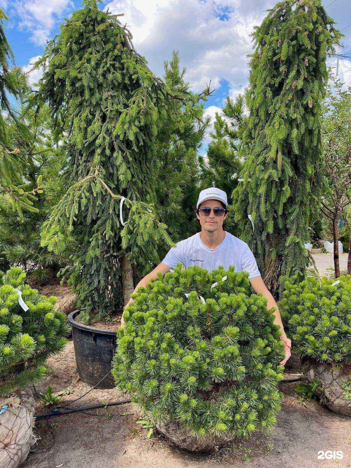 Отзывы на компанию Роял Гарден в Казани c фото