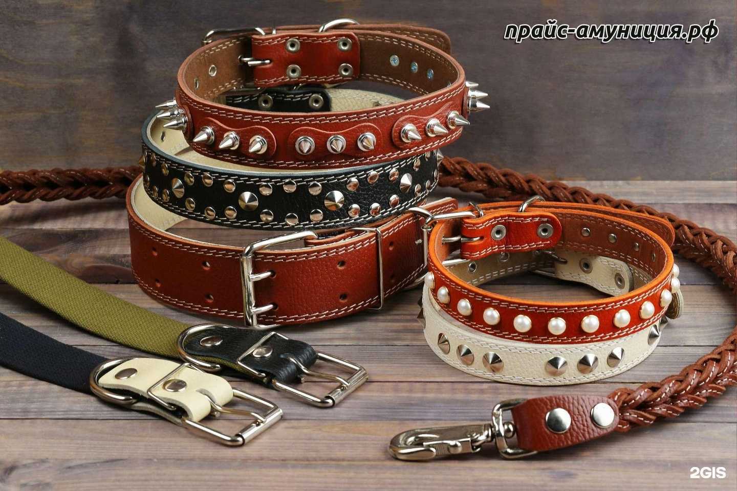 Отзывы на компанию Компания по продаже амуниции для собак в Челябинске c фото