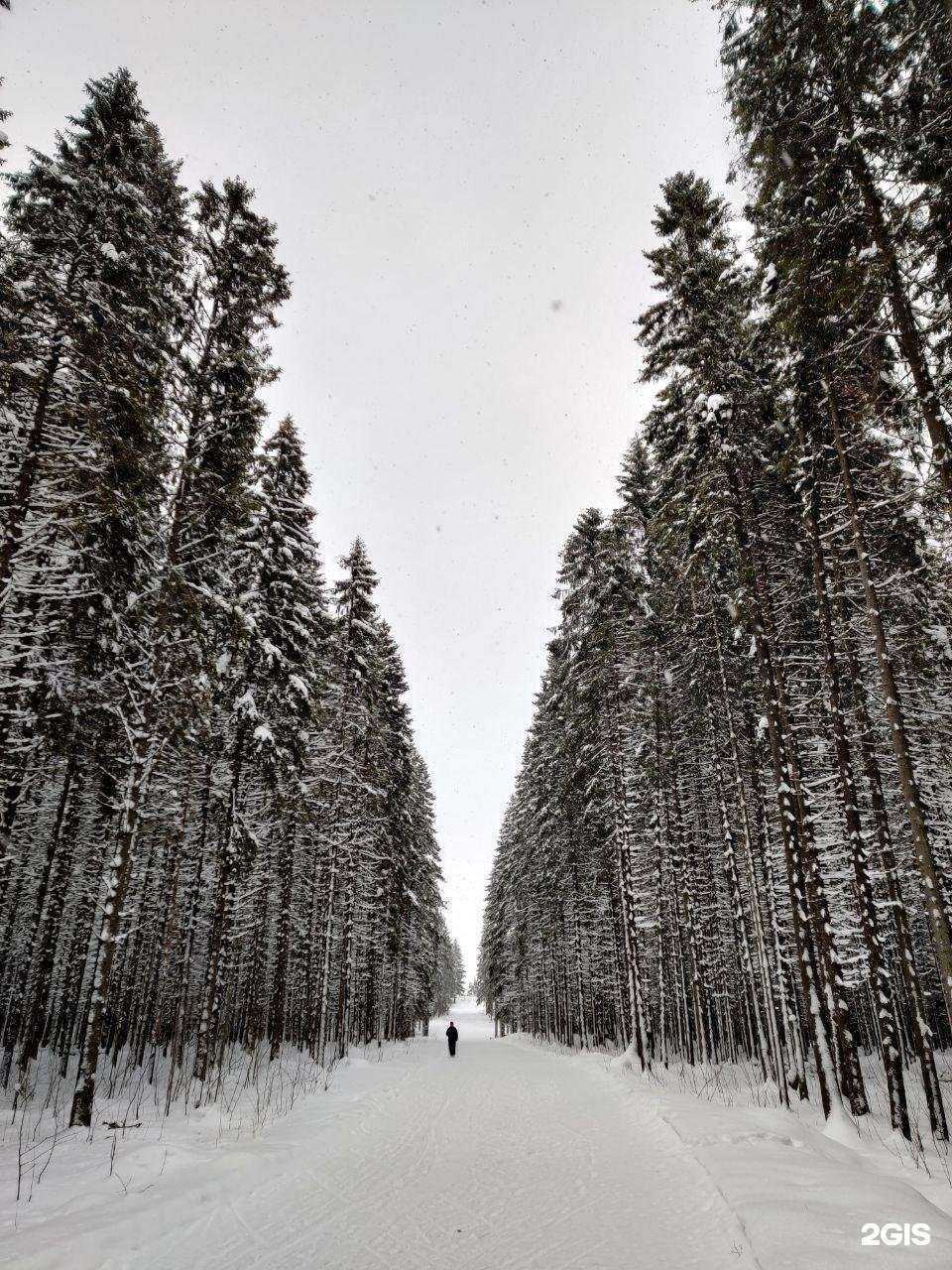 Отзывы на компанию SkiLab в Петрозаводске c фото