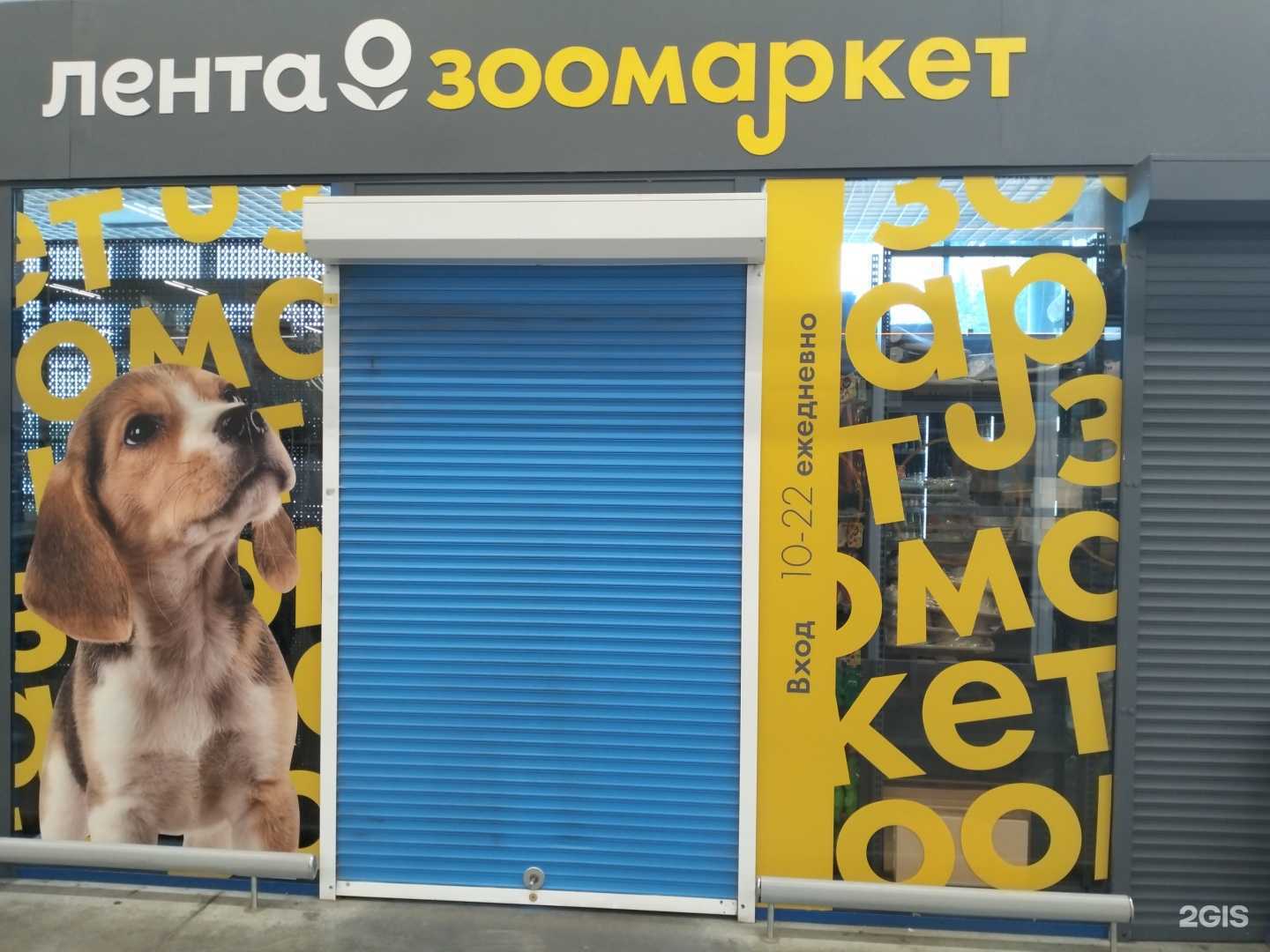 Отзывы на компанию Лента Зоомаркет в Саратове c фото