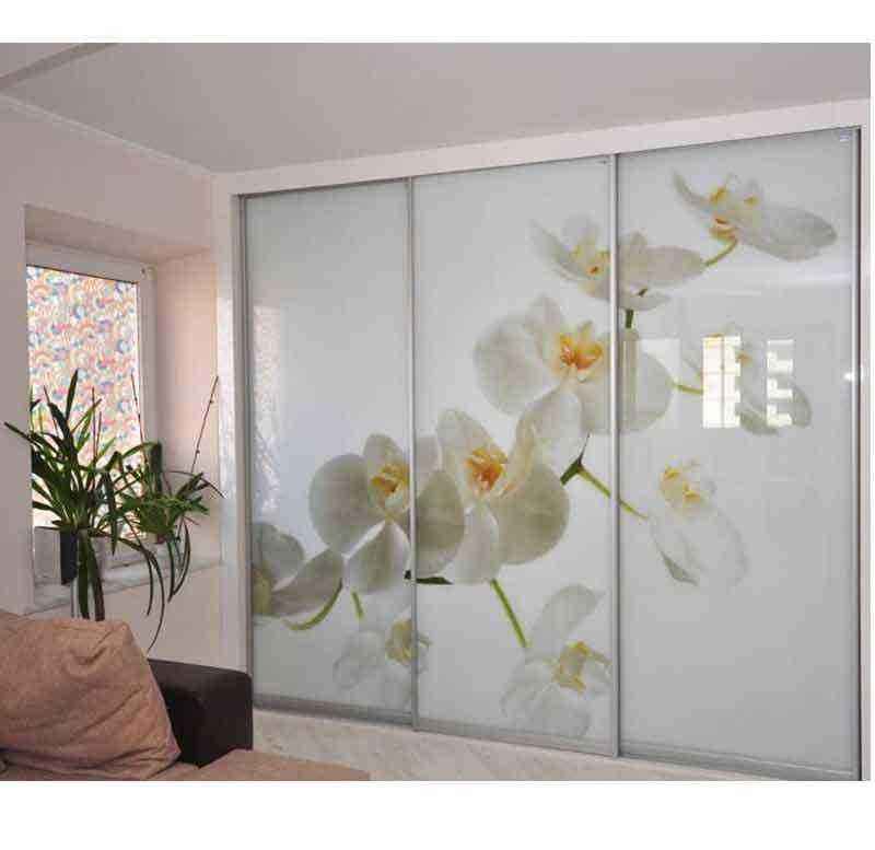 Отзывы на компанию Дизайн в Советске c фото