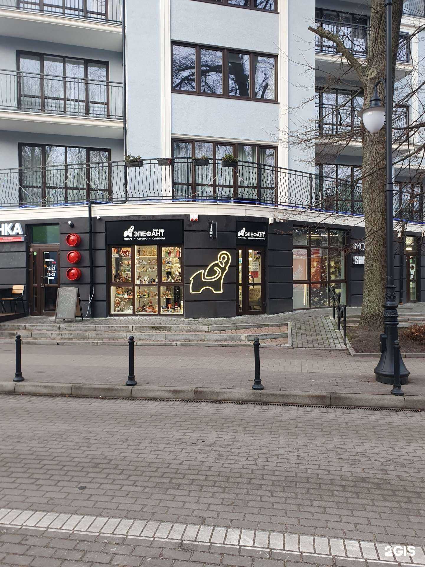 Отзывы на компанию Элефант в г. Светлогорск c фото