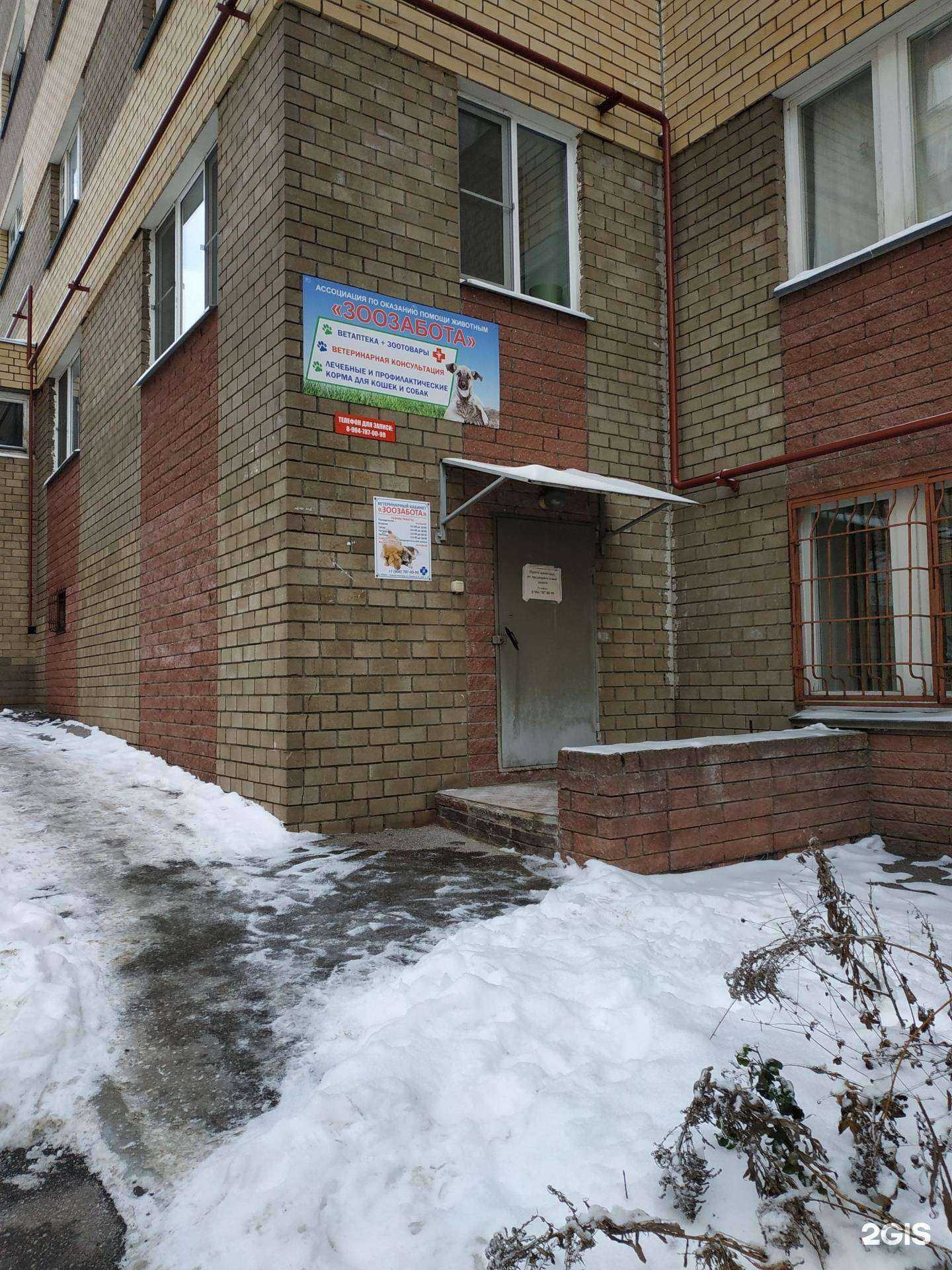 Отзывы на компанию Зоозабота в Нижнем Новгороде c фото