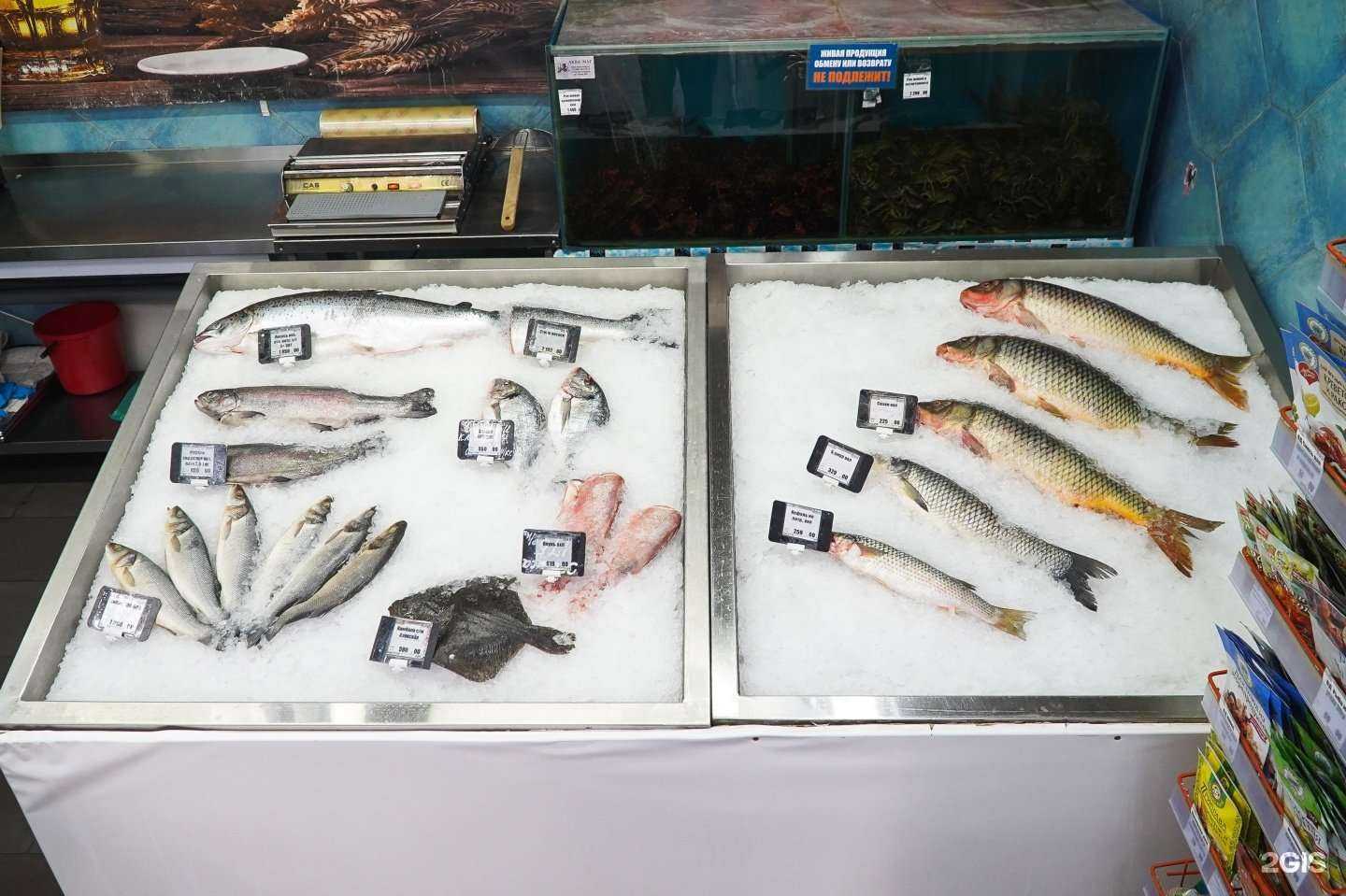 Отзывы на компанию Море рыбы в Ростове-на-Дону c фото