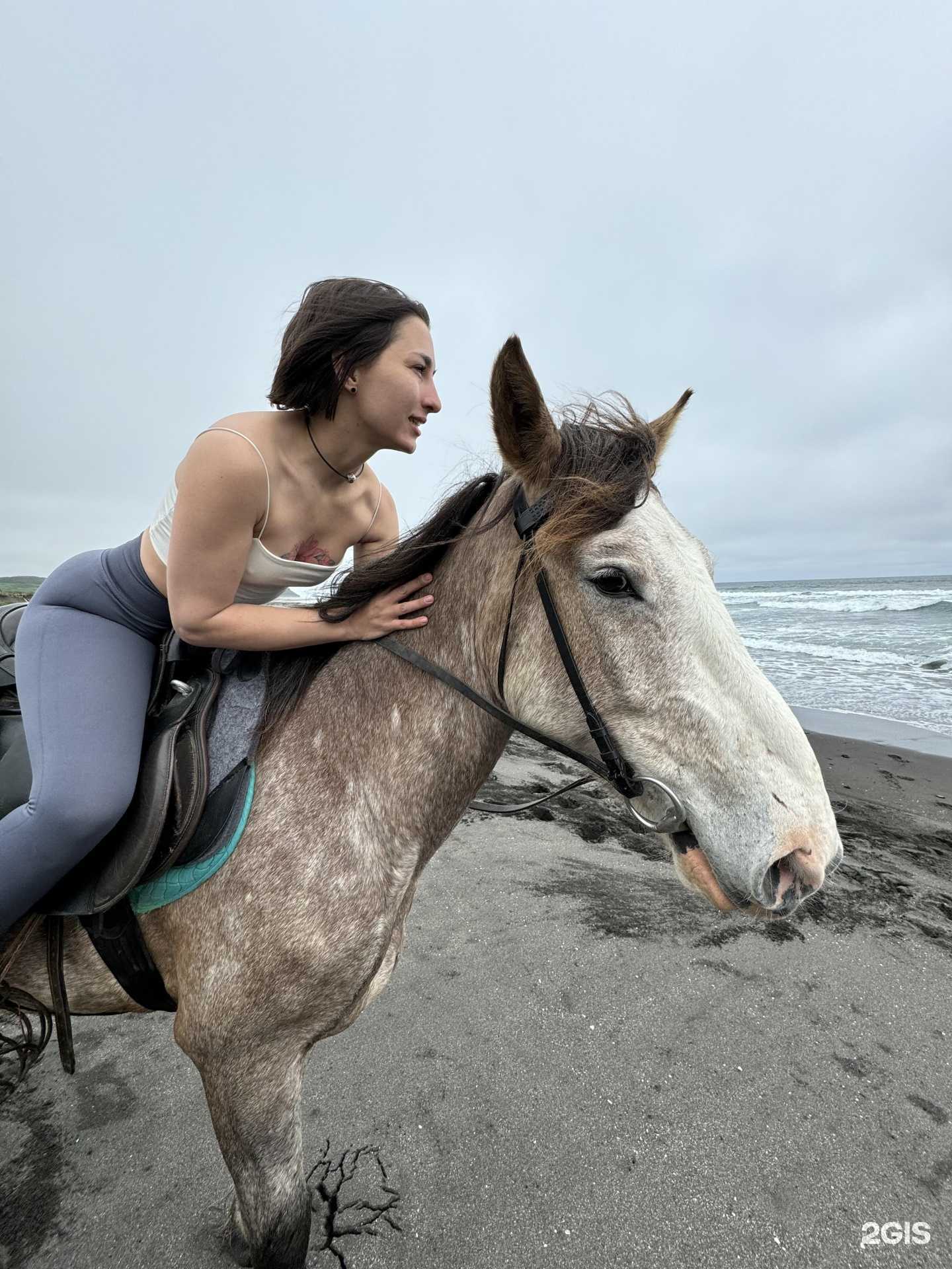 Отзывы на компанию Лошадка в Петропавловске-Камчатском c фото