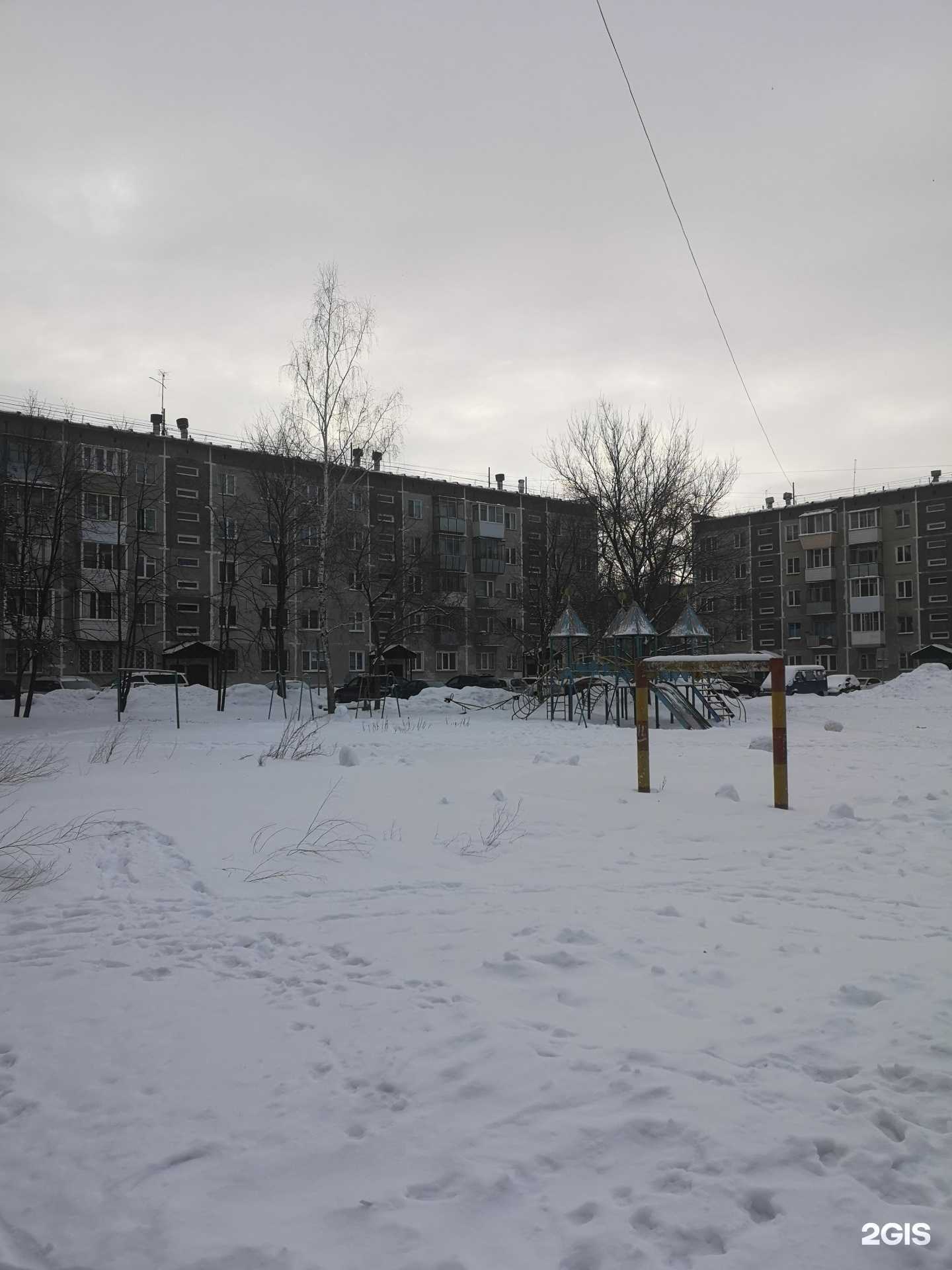 Отзывы на компанию StarcevDigital в Бердске c фото