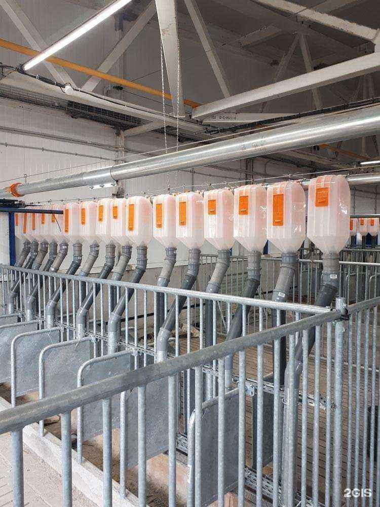 Отзывы на компанию Агроспецстрой в Новосибирске c фото