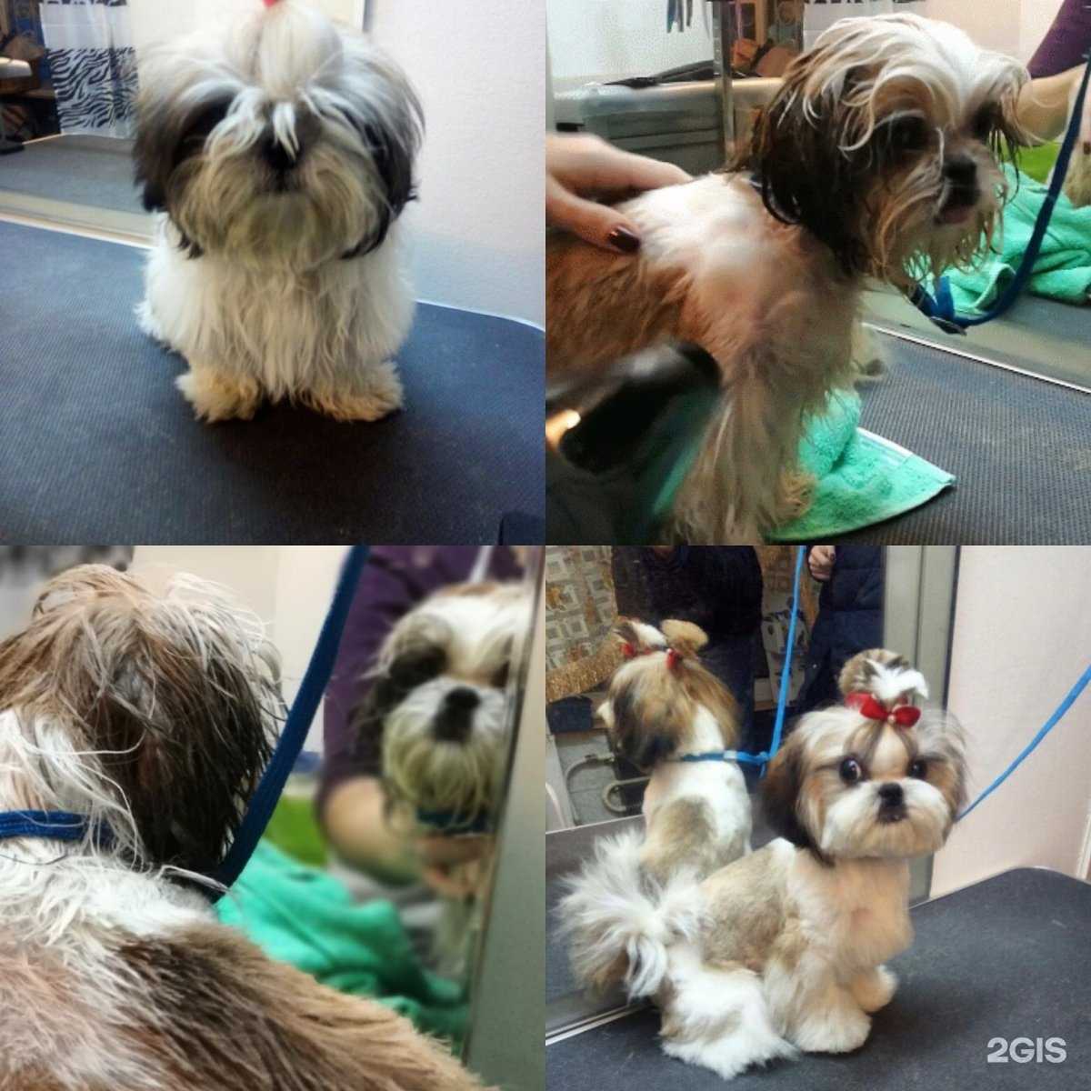 Отзывы на компанию Аврора в Барнауле c фото