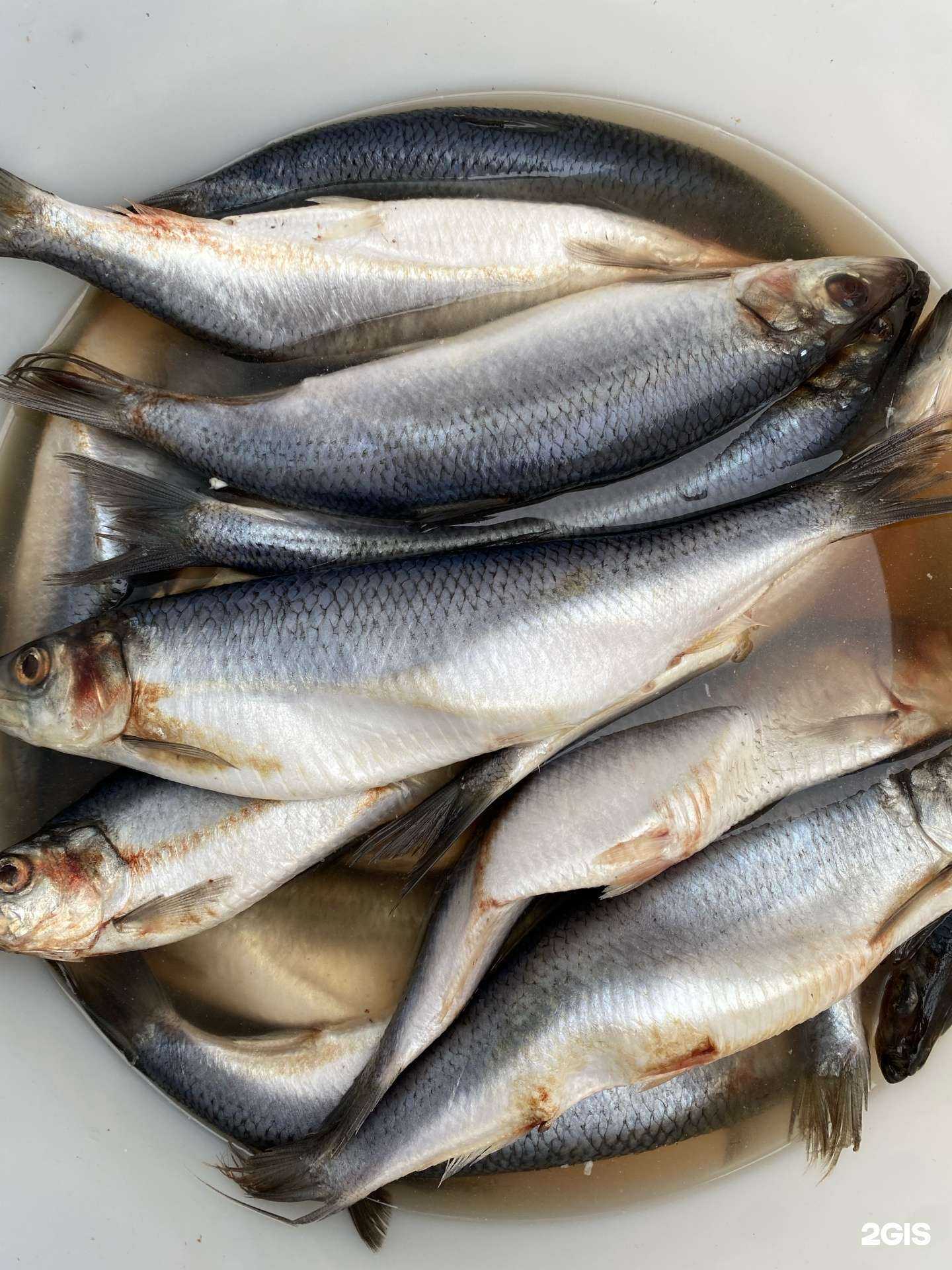 Отзывы на компанию Магазин по продаже соленой и копченой рыбы в Самаре c фото