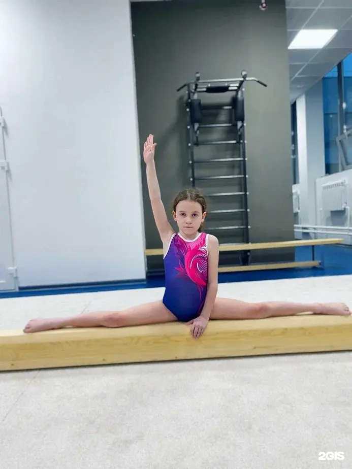 Отзывы на компанию Школа спортивной гимнастики Андрея Перевозникова в Видном c фото