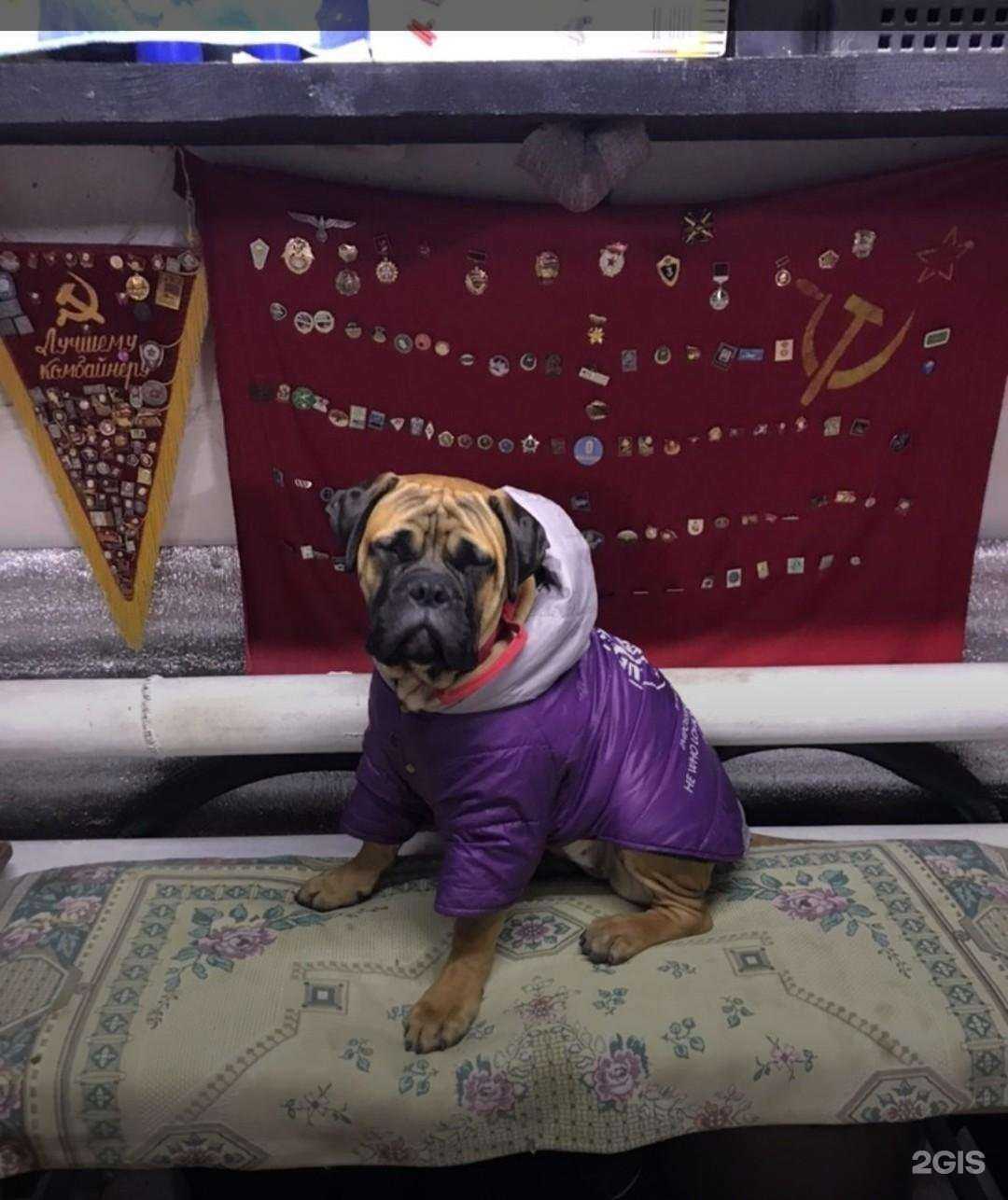 Отзывы на компанию Муркин Парк в Кирове c фото