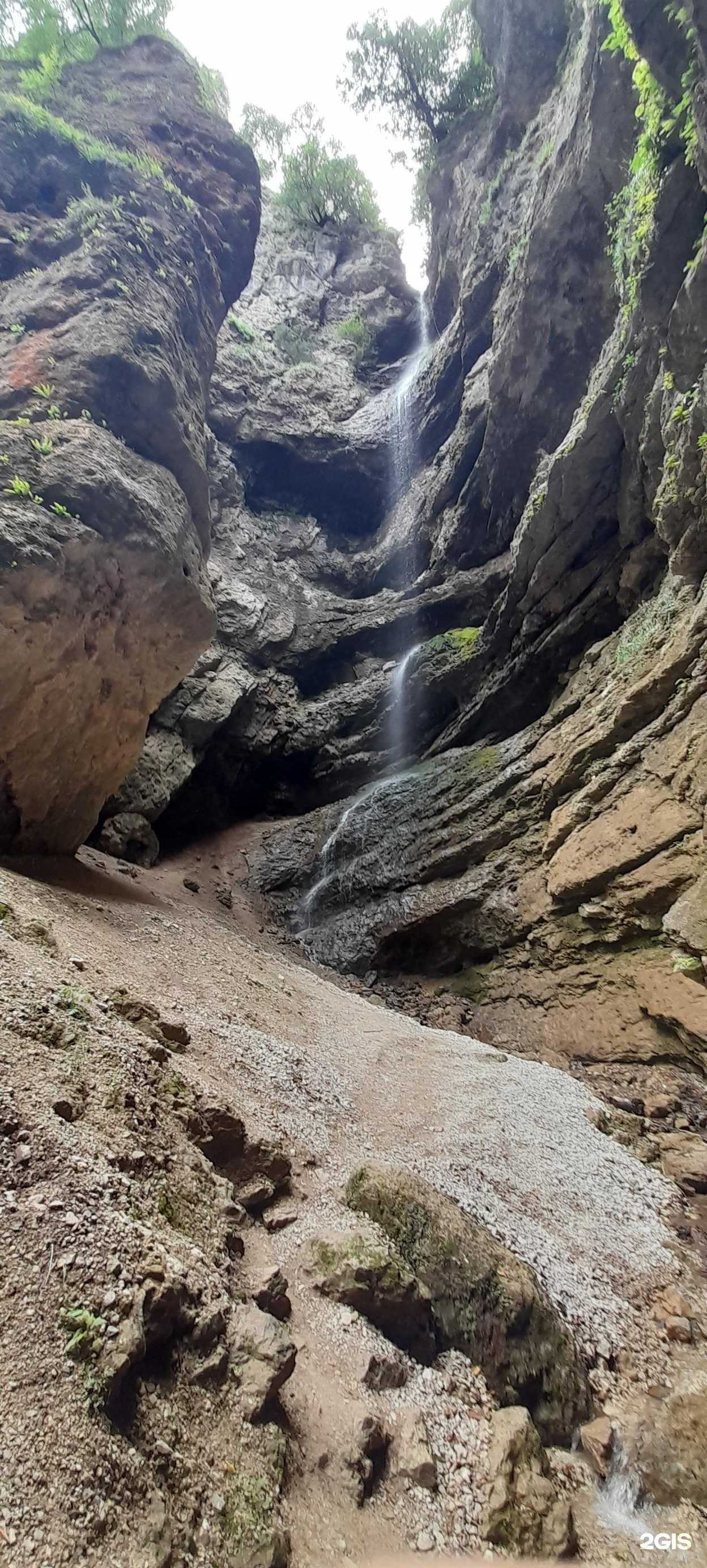 Отзывы на компанию Континенталь в г. Астрахань c фото