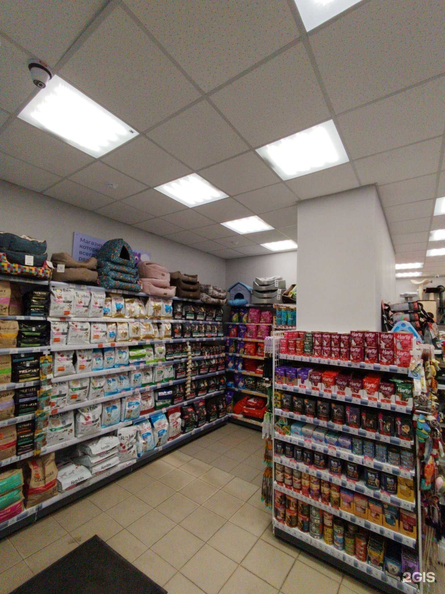 Отзывы на компанию Зоозавр в Екатеринбурге c фото