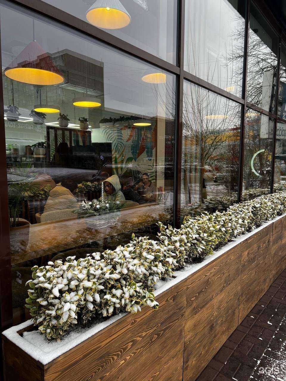 Отзывы на компанию Пальма кофе в Пятигорске c фото