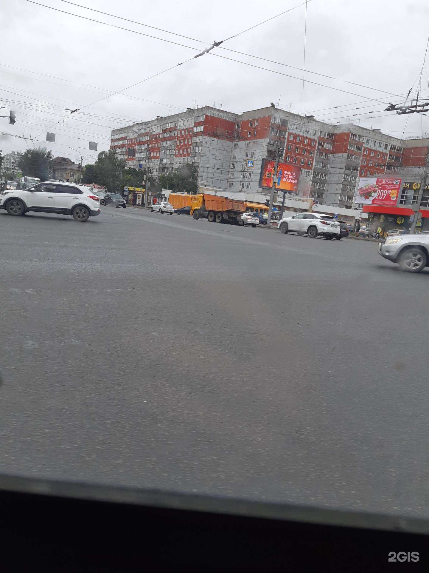 Отзывы на компанию Зоополис в Новосибирске c фото - фотография 2 из 2