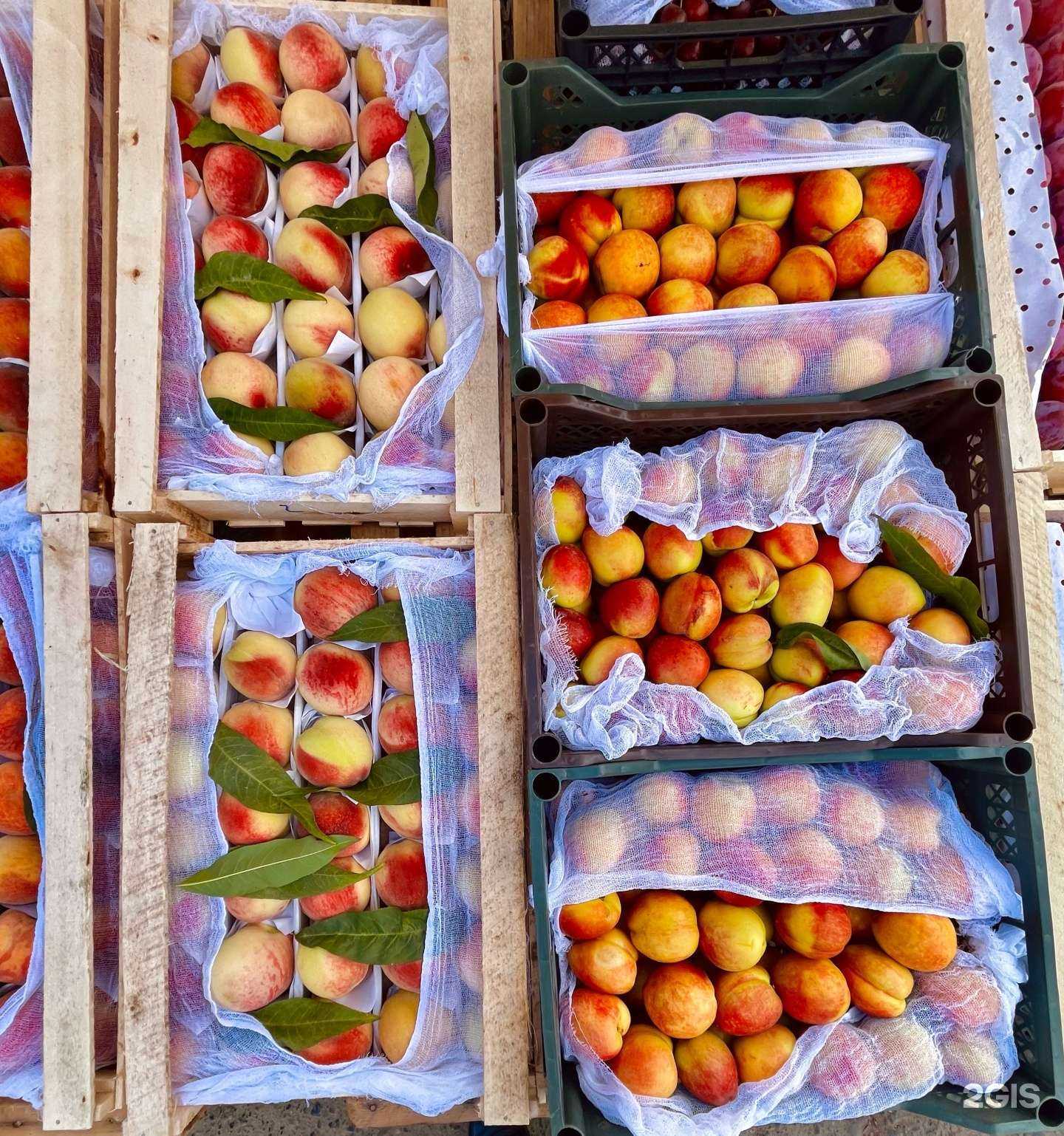 Отзывы на компанию Узмарком в г. Пермь c фото