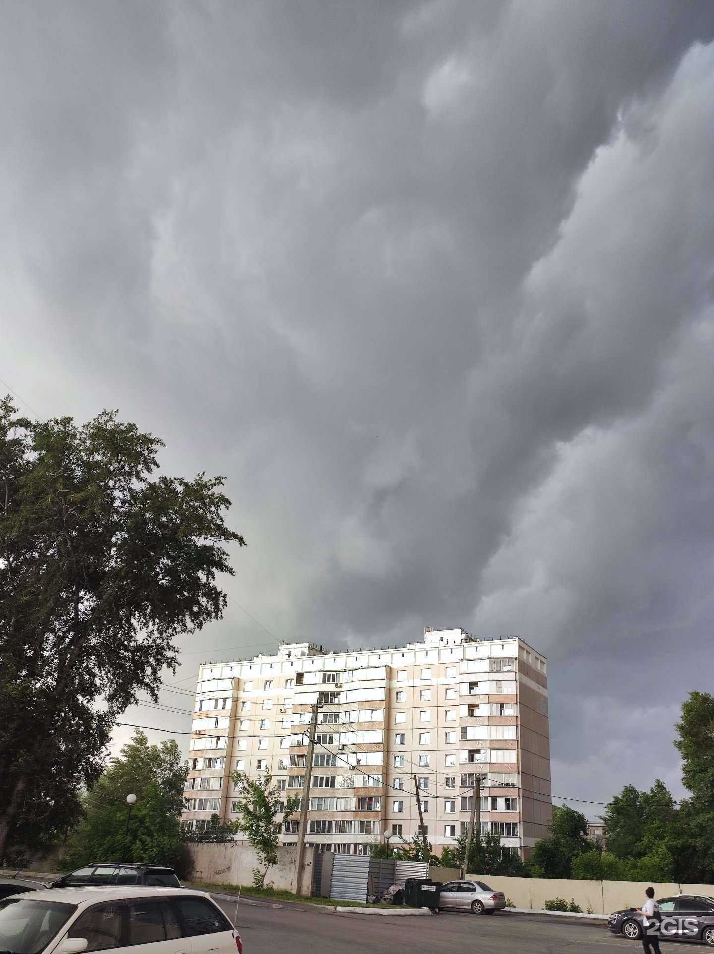 Отзывы на компанию Счастливый Пёс в Новосибирске c фото - фотография 2 из 2