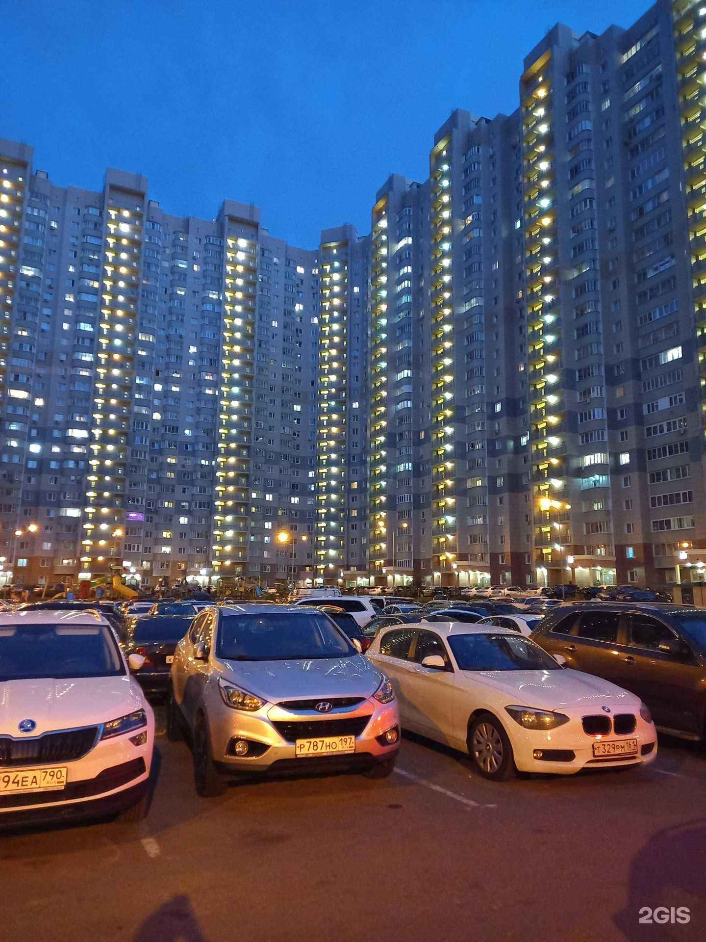 Отзывы на компанию Головастики в Балашихе c фото - фотография 2 из 2