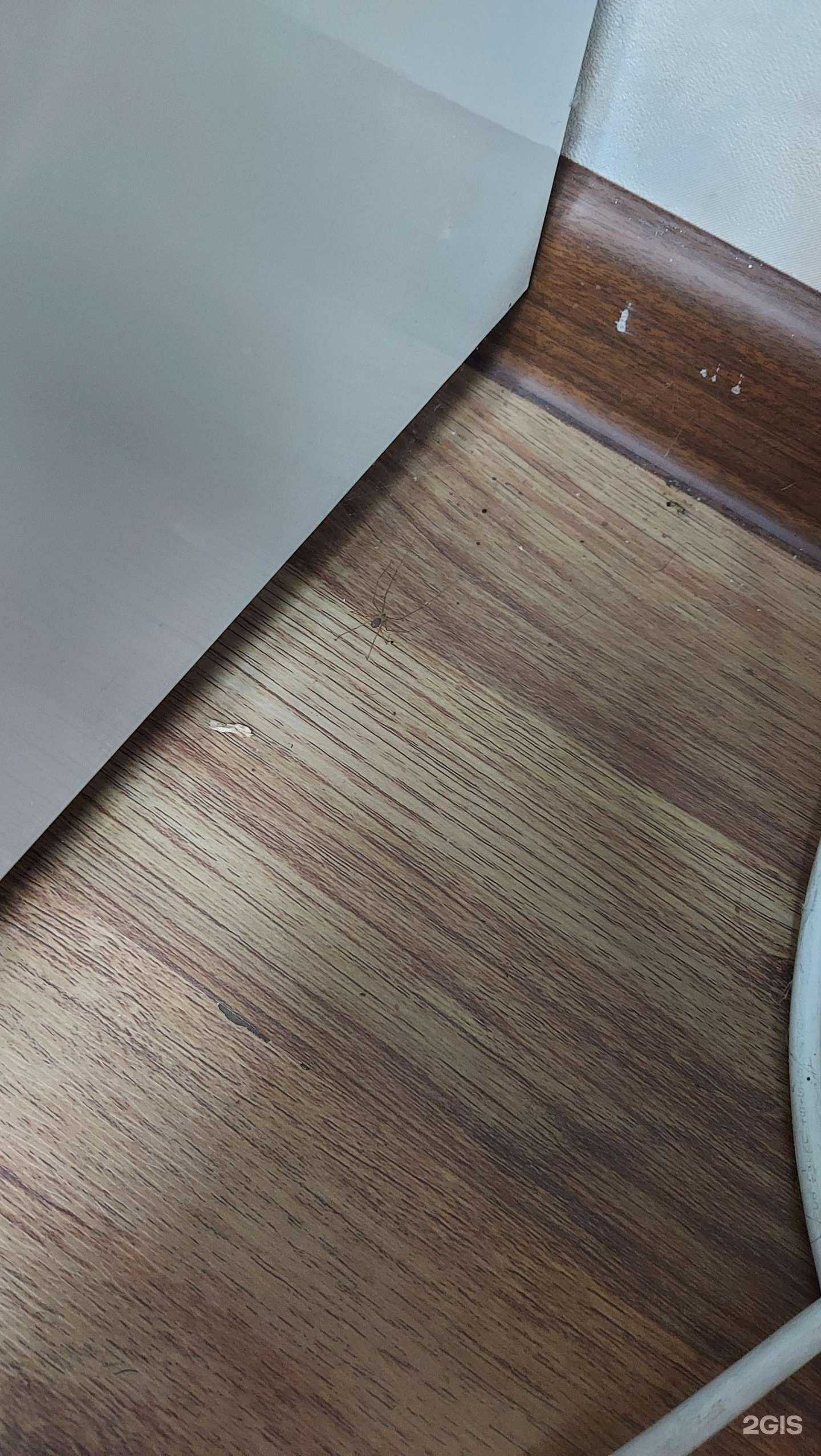 Отзывы на компанию Ника в г. Дальнереченск c фото