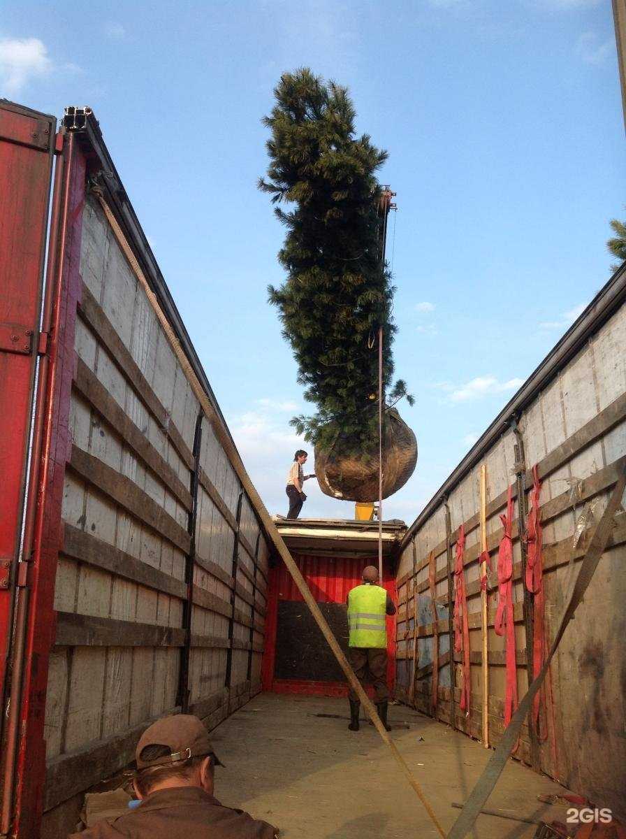 Отзывы на компанию Дом 63 в Самаре c фото