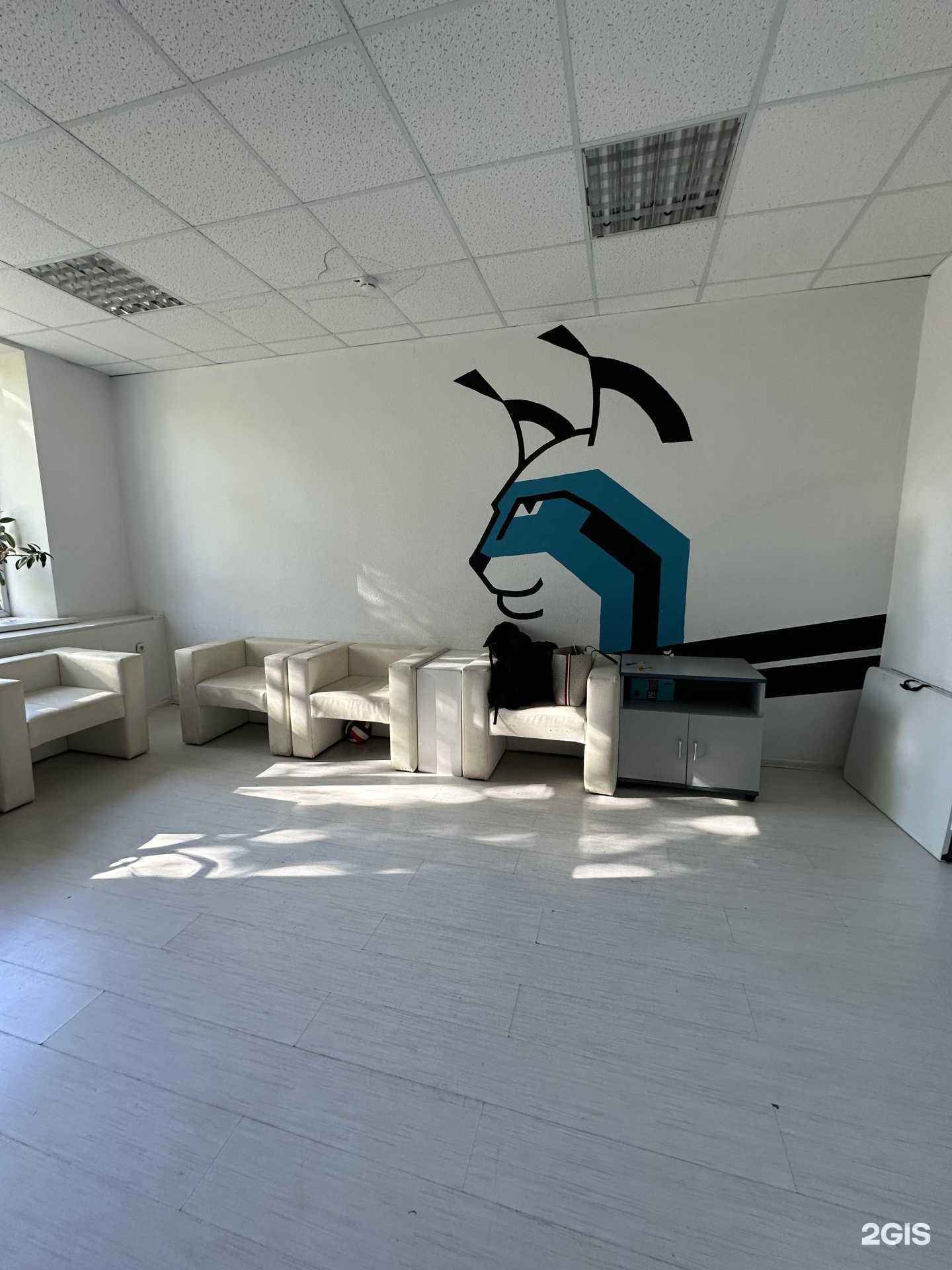 Отзывы на компанию Венера и Вавилон в г. Пермь c фото