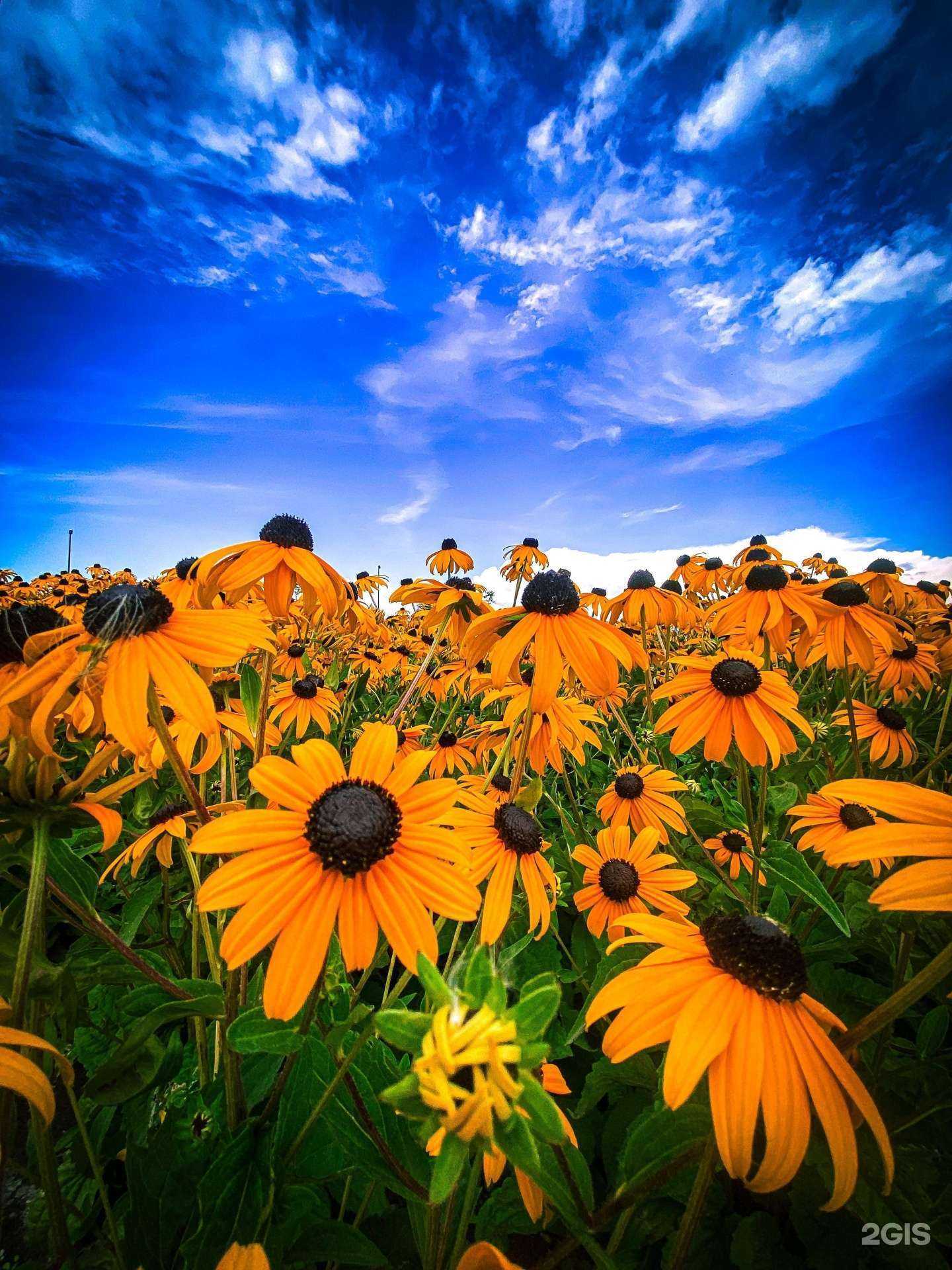 Отзывы на компанию Территория Притяжения в г. Магнитогорск c фото