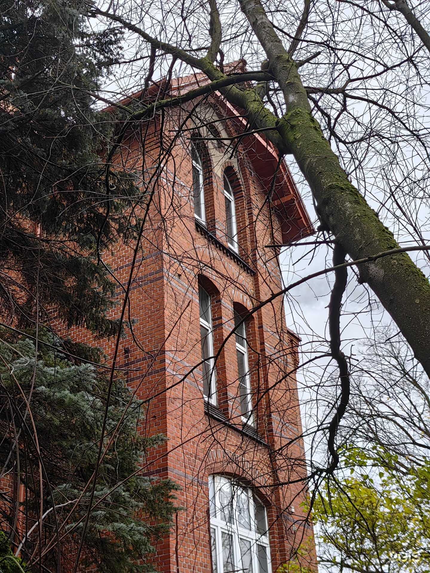 Отзывы на компанию Детская школа искусств им. П.И. Чайковского в г. Калининград c фото