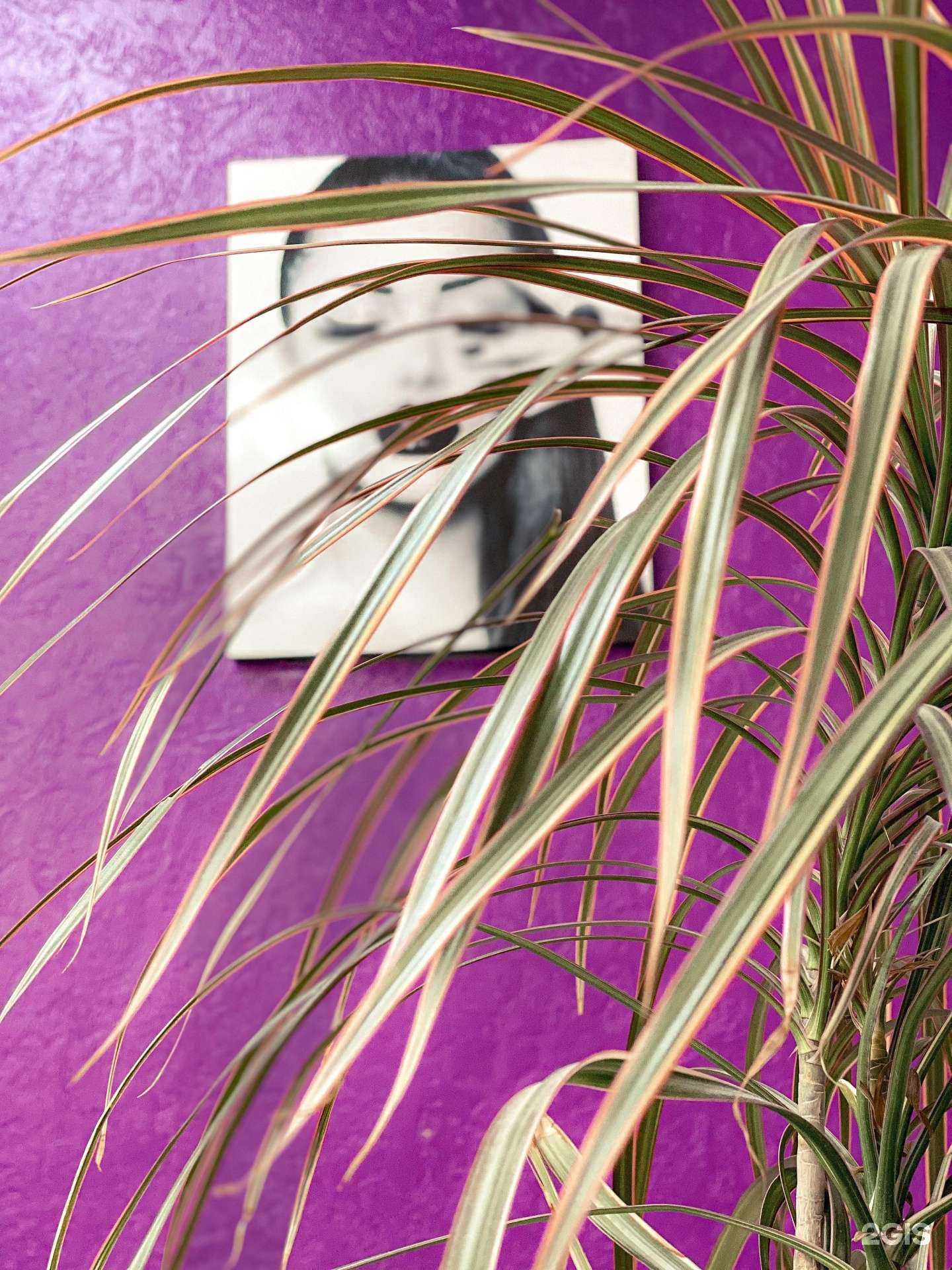 Отзывы на компанию Pur pur в Иркутске c фото