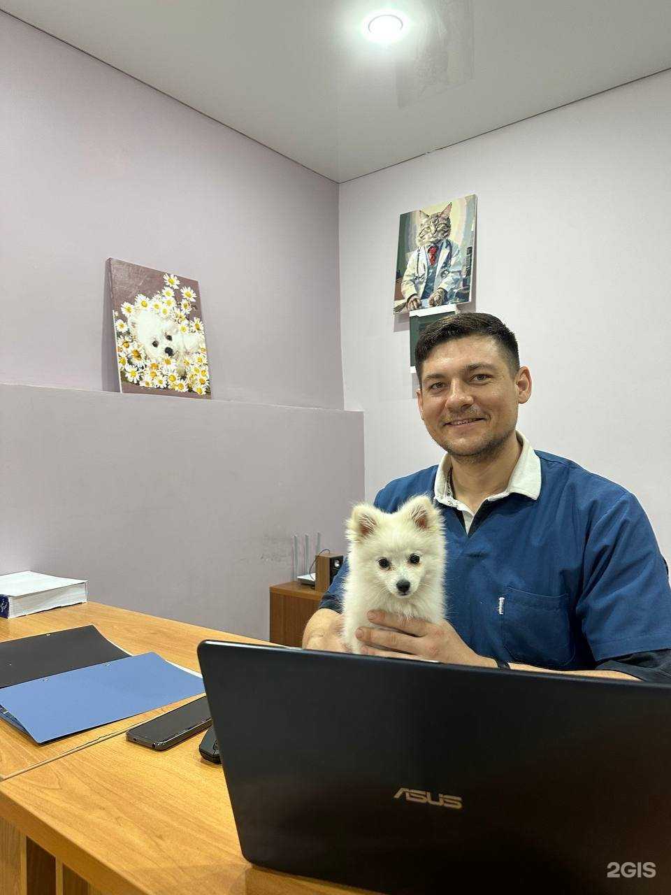 Отзывы на компанию Ветеринарный Доктор Задорожный в Краснодаре c фото