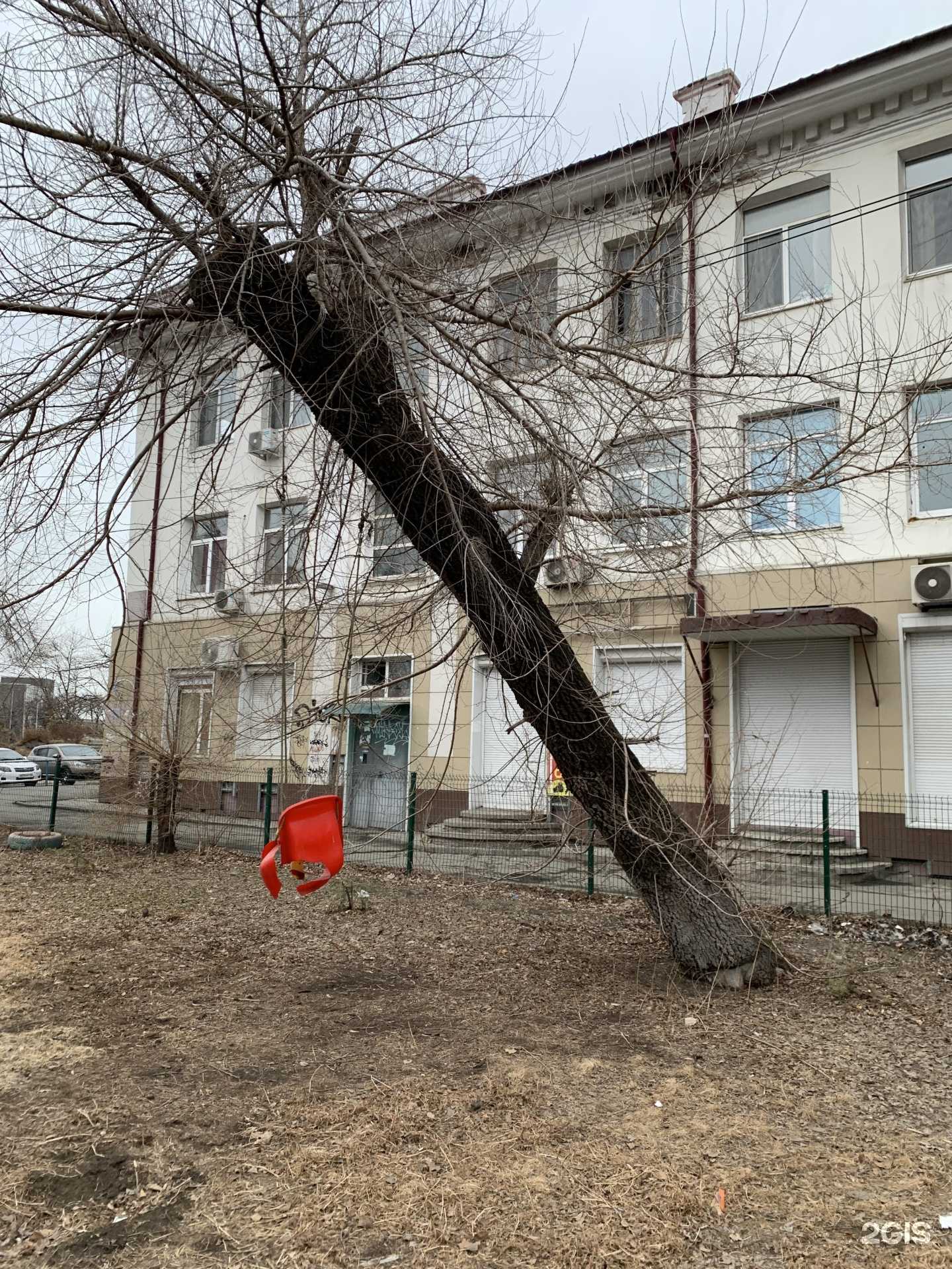 Отзывы на компанию Автогид в Владивостоке c фото