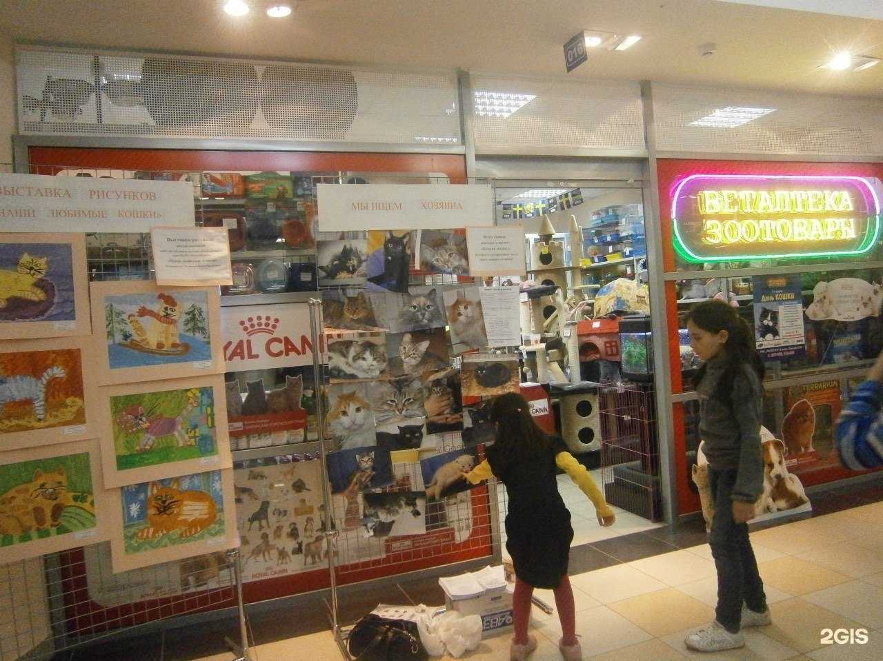 Отзывы на компанию Ареал в г. Тольятти c фото