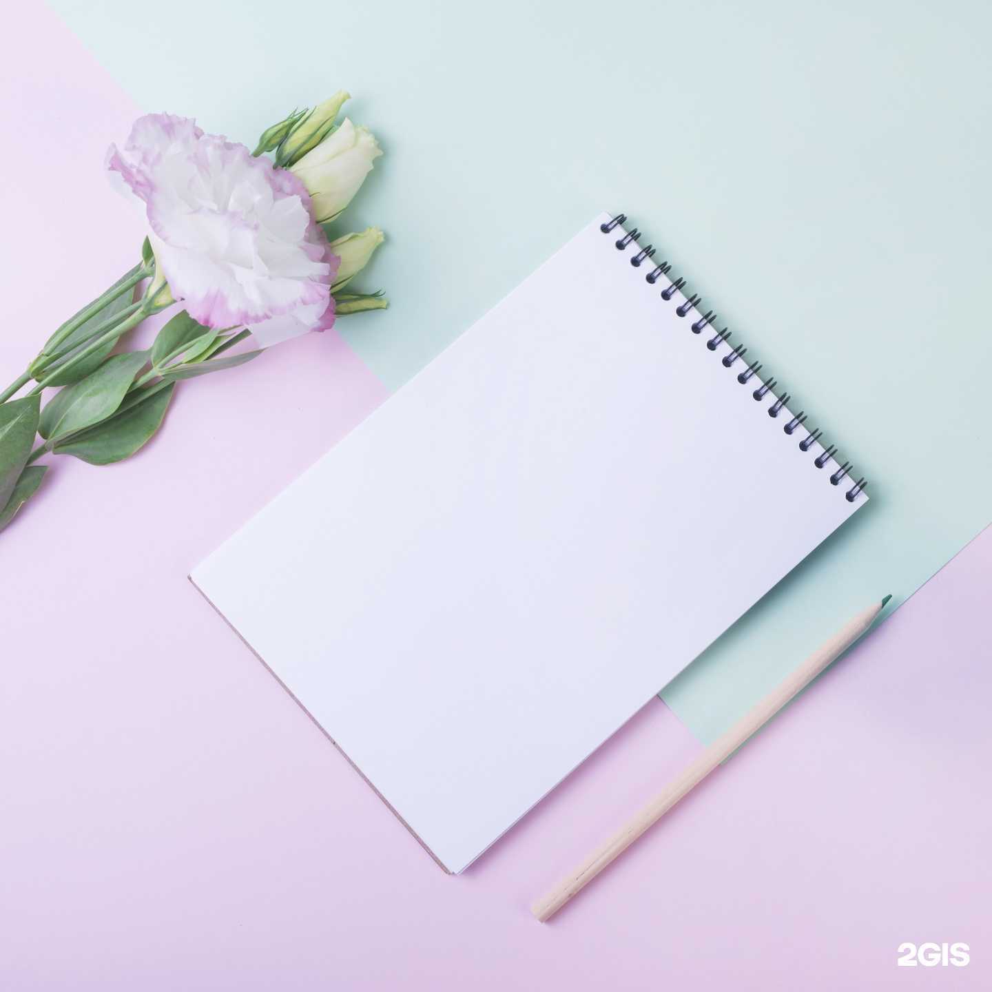 Отзывы на компанию Радуга в г. Пятигорск c фото