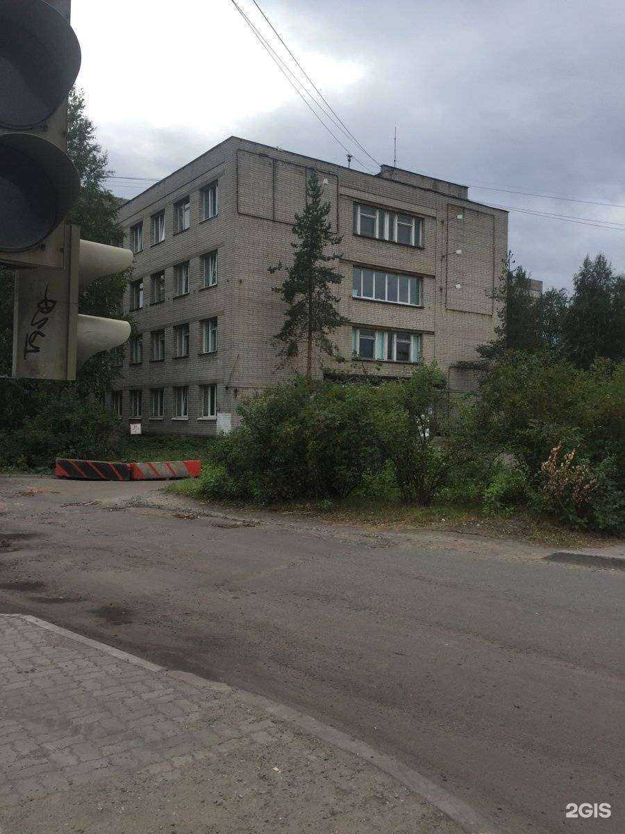 Отзывы на компанию Ламинария в Архангельске c фото - фотография 2 из 2