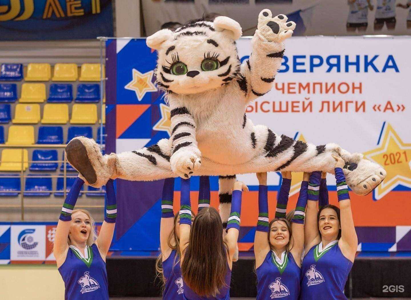 Отзывы на компанию Северянка в Череповце c фото